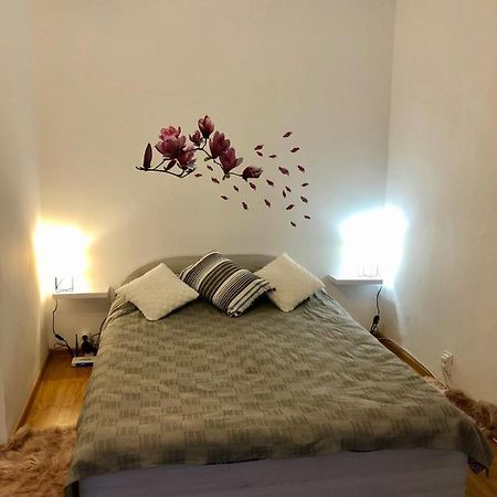 Apartament Mia'S House Piteszti Zewnętrze zdjęcie