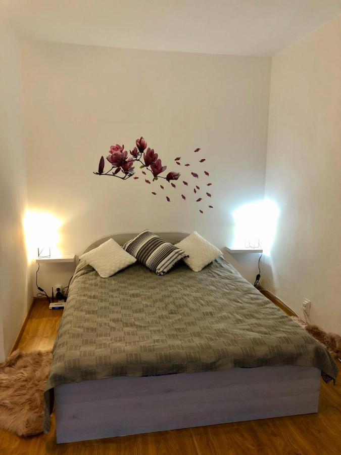 Apartament Mia'S House Piteszti Zewnętrze zdjęcie