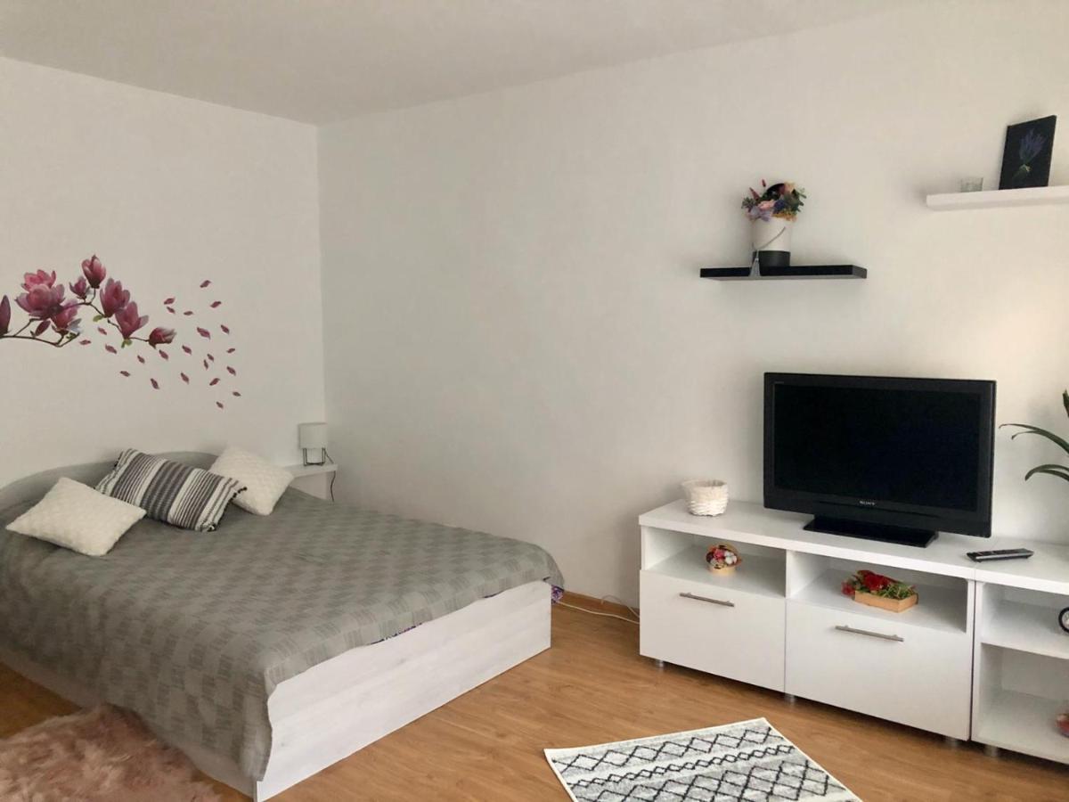 Apartament Mia'S House Piteszti Zewnętrze zdjęcie